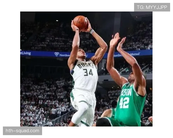 尼斯攻防平衡 尼斯攻防平衡